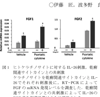 図 1 ヒトケラチノサイトに対する IL 26刺激，乾癬 関連サイトカインとの共刺激 ケラチノサイトを乾癬関連サイトカインと IL 26 で そ れ ぞ れ 刺 激 後 に ，RT  PCR に よ っ て FGF の mRNA 発現レベルを調査した．乾癬関 連サイトカインとの共刺激によって IL  26の FGF 産生促進効果はさらに増強される．難治性自己免疫疾患におけるIL26の新規生物活性の解明○伊藤 匠，波多野 良【緒言】IL26は様々な自己免疫疾患で発現の増加が報告されているが，炎症病