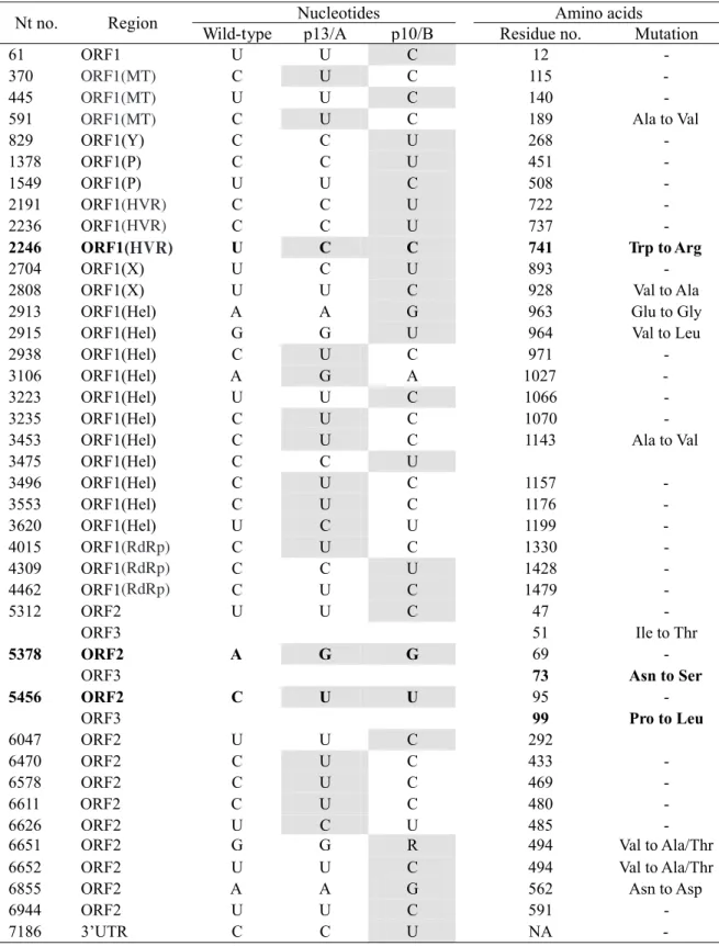 表 2 野生株 JE03-1760F と 2 系列の継代株(p13/A と p10/B)の全塩基配列の比較