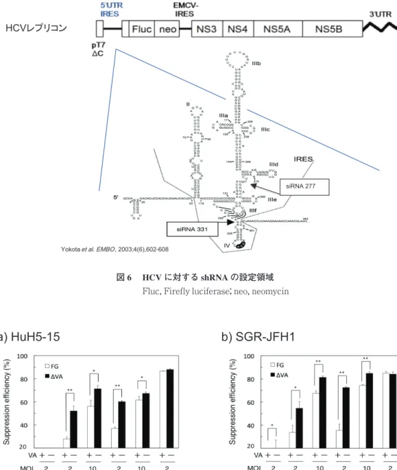 図 7  遺伝子型 1b の HuH5-15 細胞及び遺伝子型 2a の SGR-JFH1 細胞における shRNA の HCV 複製抑制効率