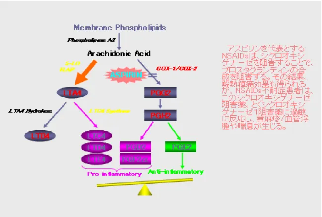図   ア ラ キ ド ン カ ス ケ ー ド と NSAIDs に よ る シ ク ロ オ キ シ ゲ ナ ー ゼ 阻 害  