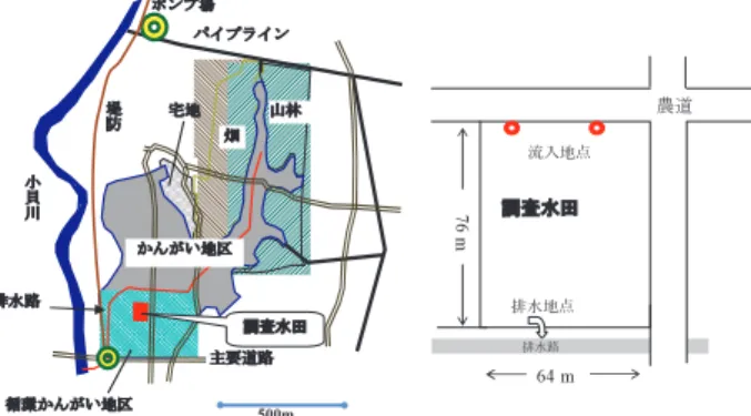 Table 11　調査水田の水管理および営農スケジュール Schedule of cultivation and water, and fertilizer application for 