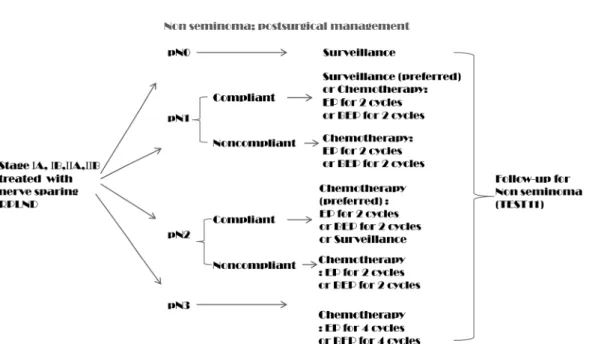 Fig. 4. NCCN v2.2011 TEST9 with modiﬁcations.