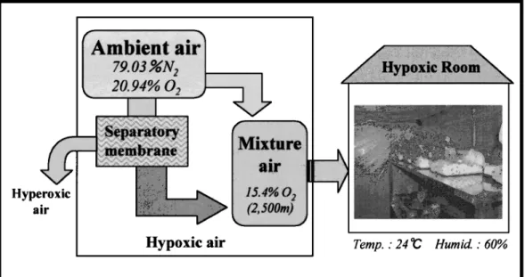 Fig. 2 System of normobaric hypoxia generationらキャンパス生物環境調整装置内の通常大気の飼育室にて，また低酸素群（HS群およびHT群）は，同装置内に設置した常圧低酸素テント内で50日間の飼育をおこなった．実験期間中，常圧低酸素室の酸素濃度は，15.4（標高2,500 m相当）を維持した．安静群（NS群およびHS群）のラットはそれぞれ2匹ずつ一般的な飼育ケージに飼育し，トレーニング群（NT群とHT群）は，いつでも自由に走運動ができるようにランニングホイール付きの