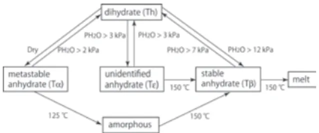 Fig. 2. Phase and state transitions of trehaslose in    the solid state.