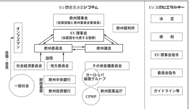 Fig. 1  Decision-making process of the EU, especially concerning this article EU 法のヒエラルキー ガイドライン等委員会指令EU 理事会指令規  則決  定  また，「規則（Regulation）」は直接に加盟国を 拘束するが， 「指令（Directive）」は，加盟国に対 しそれに基づく規制の導入を求めている．例えば EMEA は， 「規則」によって設置された．また，指 令の中にも EU 理事会指令と欧州委員会指令があ り，E
