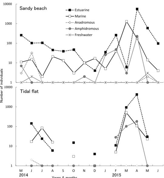 Fig. 7 Monthly changes of the number of individuals per towing by life-cycle categories in sandy beach（Top）
