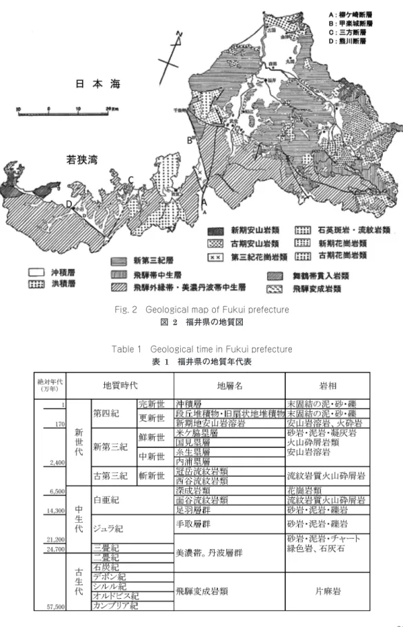 Fig. 2  Geological map of Fukui prefecture 図  2　福井県の地質図
