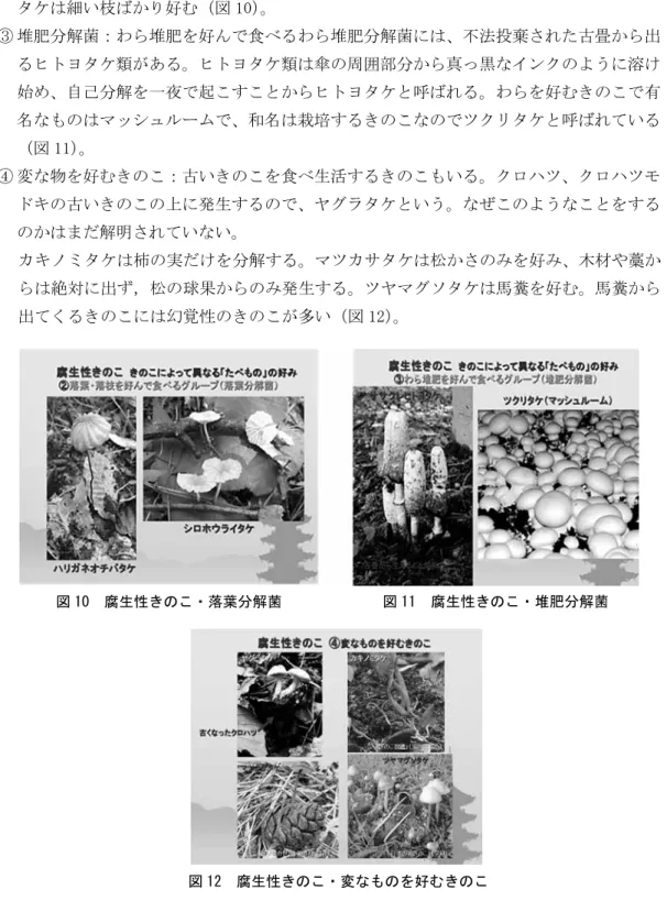 図 10  腐生性きのこ・落葉分解菌 タケは細い枝ばかり好む（図 10）。  ③ 堆肥分解菌：わら堆肥を好んで食べるわら堆肥分解菌には、不法投棄された古畳から出るヒトヨタケ類がある。ヒトヨタケ類は傘の周囲部分から真っ黒なインクのように溶け始め、自己分解を一夜で起こすことからヒトヨタケと呼ばれる。わらを好むきのこで有名なものはマッシュルームで、和名は栽培するきのこなのでツクリタケと呼ばれている（図 11）。 ④ 変な物を好むきのこ：古いきのこを食べ生活するきのこもいる。クロハツ、クロハツモドキの古いきのこの上