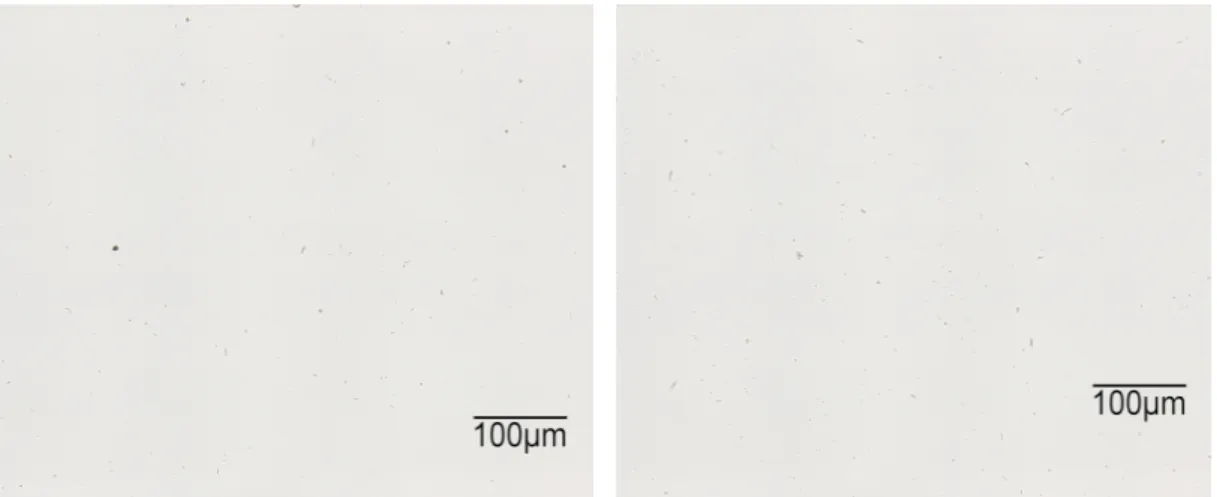 図 2.4-4  NiO 分散液の光学顕微鏡像の一例（左：調製後、右：バイオ投与時ゾンデ通過後） 