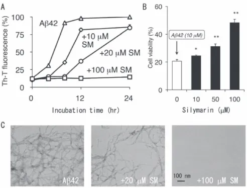 図 2　In vitroでのシリマリンによるAβ42 の凝集抑制（A、 C）ならびに神経細胞毒性の緩和（B）。 