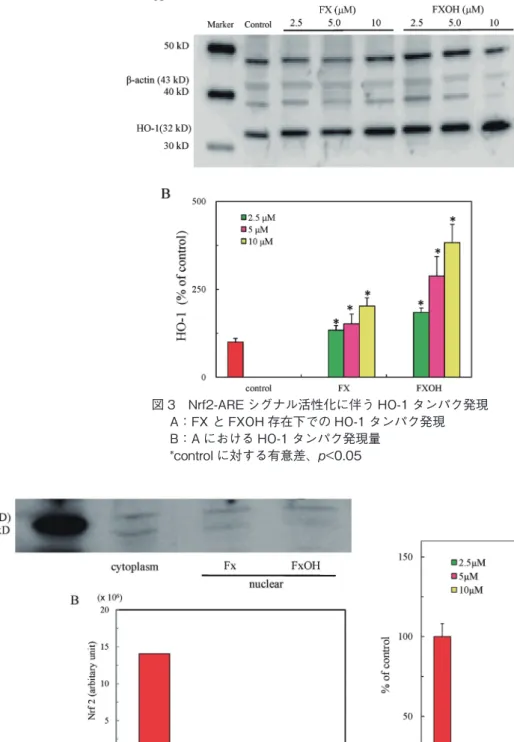 図 5　Nrf2-ARE シグナルにおける化合物の細胞毒性 　　*control に対する有意差、p<0.01