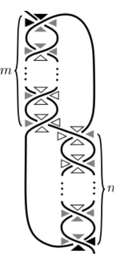 Figure 4. An ideal triangulation of S 3 \ T m,n obtained by Yokota’s method.