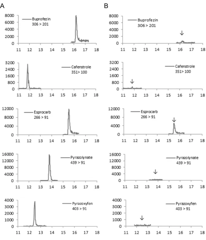 Fig. 3      Selected reaction monitoring chromatograms of blank rice straw and standard solution    (Vertical axis: Intensity (unit: arbitrary units) / Horizontal axis: Retention time (unit: min))    (Arrows indicate the retention time of pesticides.) 