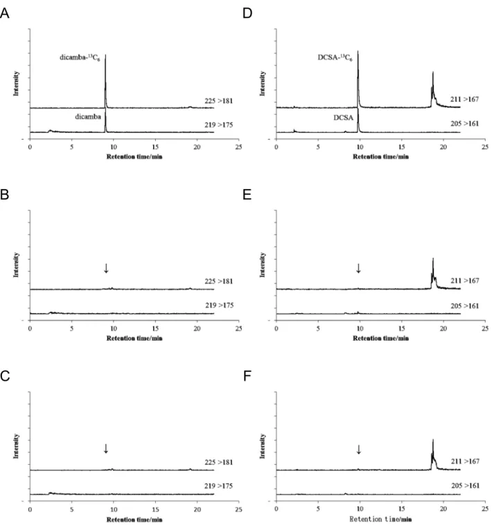 Fig. 3      Selected reaction monitoring chromatograms of standard solution and blank samples  (Arrows indicate the retention time of dicamba and dicamba- 13 C 6 , or DCSA and DCSA- 13 C 6 