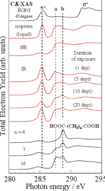 Fig.  1  CK-XAS  of  the  NR,  IR,  and reference compounds. Surface  of the IR samples were exposed to  the air for 1 – 20 days