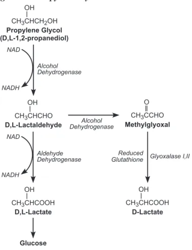 Figure 2-1. Propylene Glycol Metabolism in Mammals