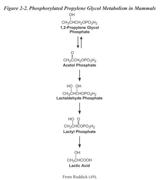 Figure 2-2. Phosphorylated Propylene Glycol Metabolism in Mammals