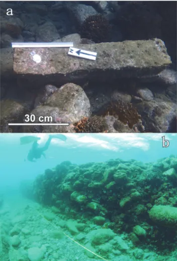 Fig. 5 Sub-bottom structures along the Kochi coastline. 