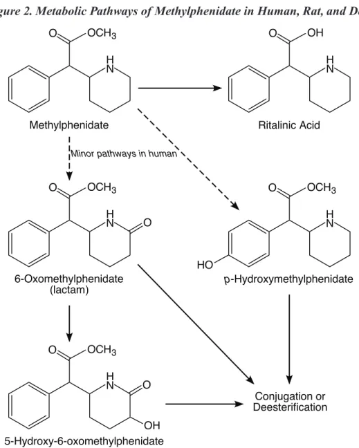 Figure 2. Metabolic Pathways of Methylphenidate in Human, Rat, and Dog.