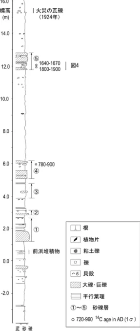 図 4  砂礫層⑤下部の写真.白色の貝殻が見えるよ