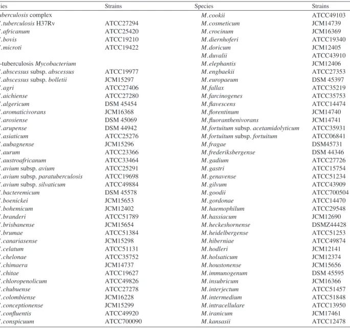 Table 1 List of Mycobacterium type strains used for specificity testing of TRCReady ®  MTB and TRCReady ®  MAC