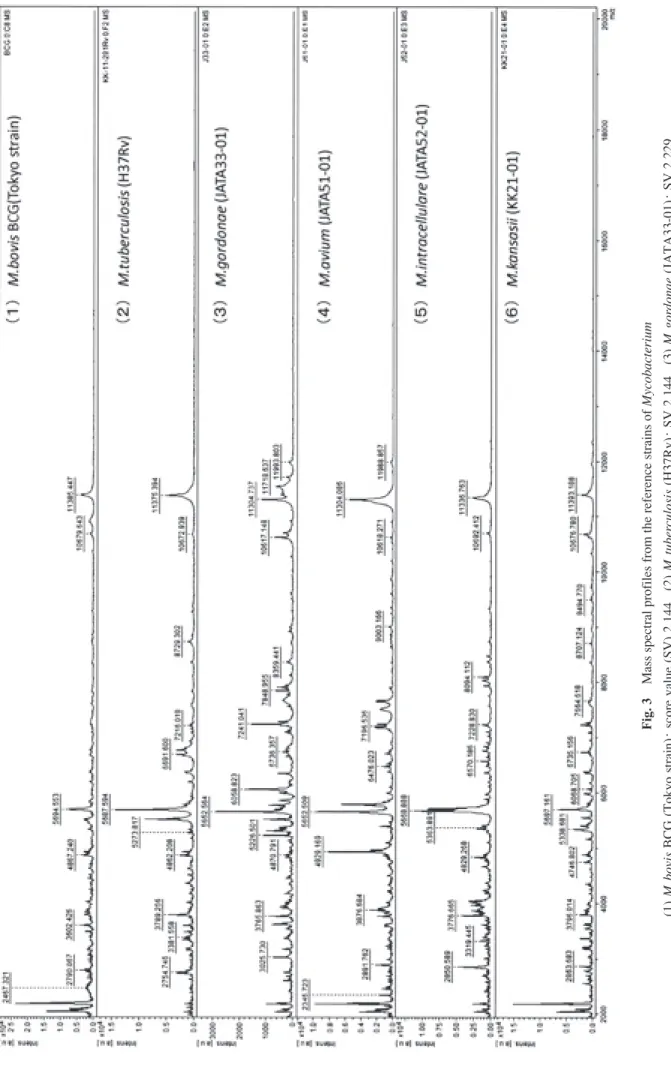 Fig. 3 Mass spectral profiles from the reference strains of Mycobacterium (1) M.bovis BCG (Tokyo strain);score value (SV) 2.144,  (2) M.tuberculosis (H37Rv);SV 2.144,  (3) M.gordonae (JATA33-01);SV 2.229,  (4) M.avium (JATA51-01);SV 2.103,  (5) M.intracell