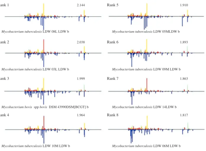 Fig. 4 Matched pattern rank and score value of M. bovis BCG (Tokyo strain) Rank of reference mycobacteria strains used to create a MALDI-TOF MS database for the identification  of mycobacteria.Rank 1 2.144 Rank 5 1.910Rank 2 2.038 Rank 6 1.893Rank 3 1.999 