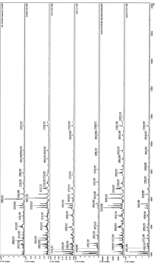 Fig. 5 Mass spectral peak patterns of the six clinically isolated M.gordonae strains