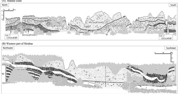 Fig. 3. Geologic sketches of the sea cliff along the western to southern foot of Kaimondake volcano (modified fromKatahira and Okuno, 2010)