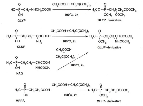 Fig. 2      Scheme of derivatization reactions of GLYP, GLUF, MPPA and NAG 
