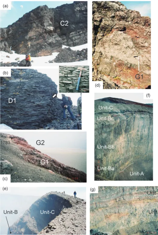 Fig. 7. Photographs showing proximal features of Asama-Maekake Volcano. (a) Stratified welded pyroclastic rock of C2 at locality C., (b) Platy joints observed in D1 at locality D and its close-up view with a 33-cm-long hammer for scale., (c) Reddish brown 