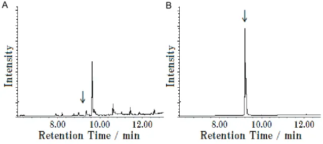 Fig. 3      SIM chromatograms of paddy rice (blank) and standard solution  (Arrows indicate the retention time or peak of chlorothalonil.) 