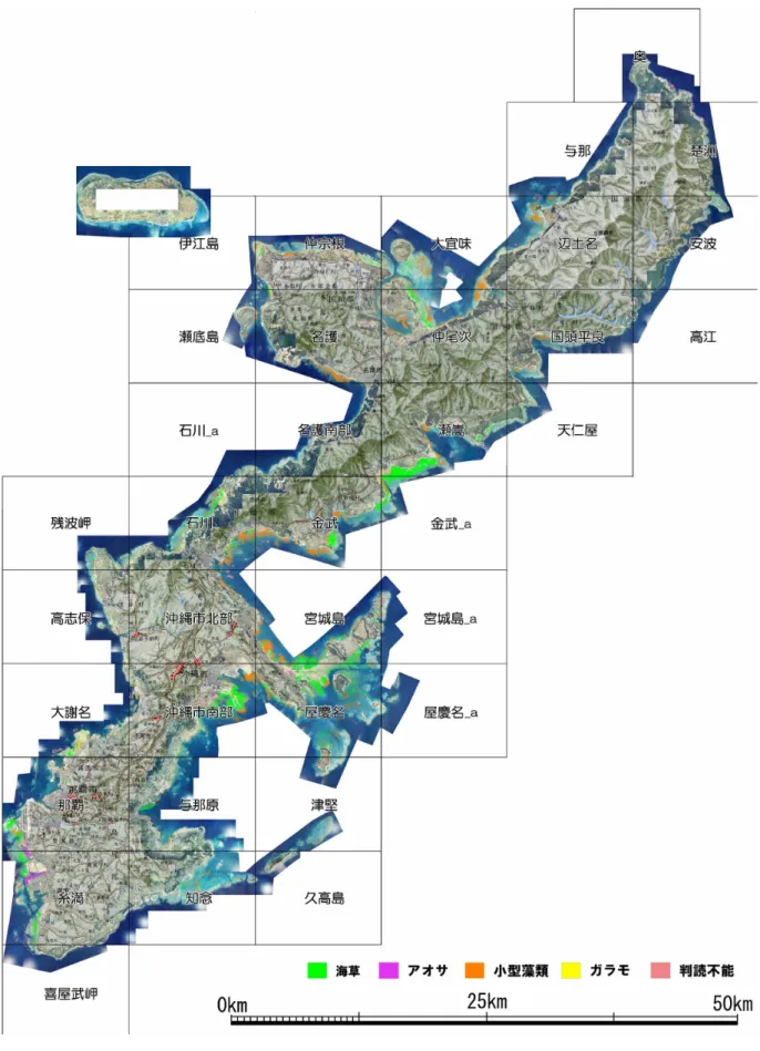 図 6  航空写真から判読した沖縄本島の海草藻場分布図 