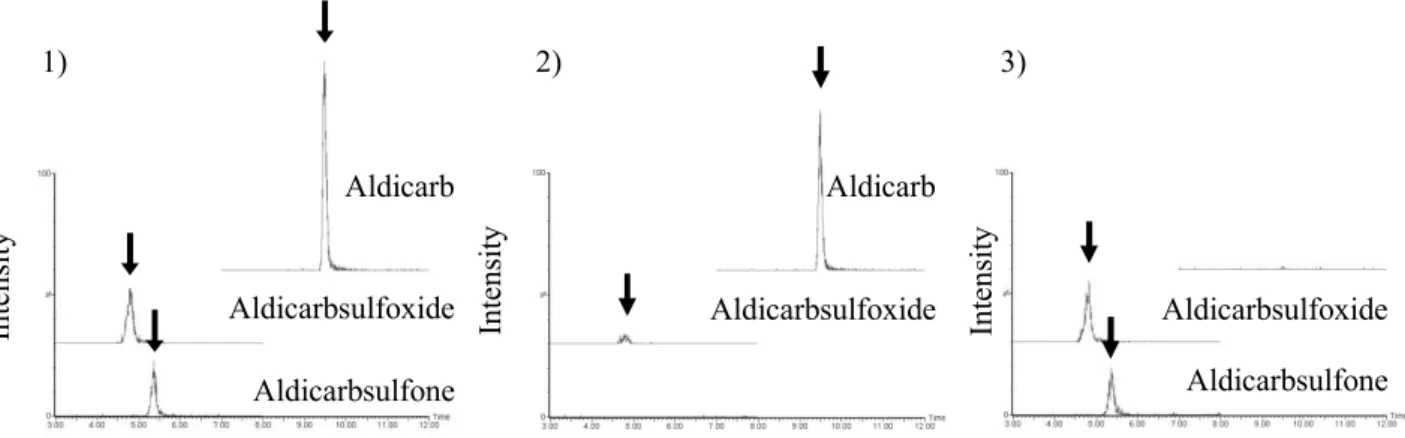 Fig. 4  Selected reaction monitering chromatograms  (Arrows indicate the peaks of pesticides) 
