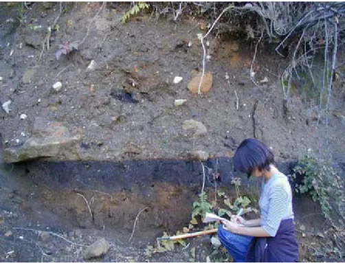 図 1  新里村板橋に露出する 9 世紀の土石なだれ堆積物．人物の頭の位置が 9 世紀の地表である．その上に土石なだれ堆 積物がのっている．泥基質の中にクロボク・ローム・降下軽石堆積物・溶岩塊などがパッチワーク状に配列していて，こ れらの土石が一群となって高速で流れてきて生じた堆積物であることがわかる． た． 2.1  土石なだれと洪水の堆積物 急斜面の崩壊によって生じた土砂が，新里村内 の広い範囲を高速で流下したらしい．谷筋の低所 だけでなく，現在尾根になっている高所にもその 流れが残した堆積物が分布して