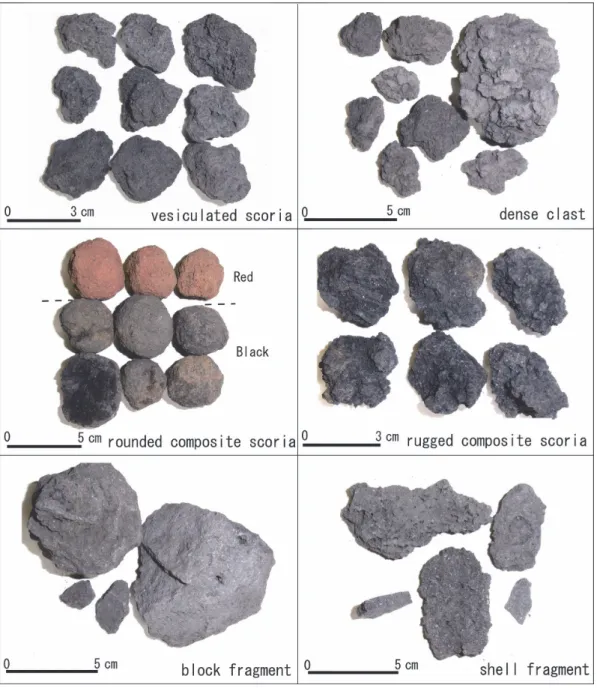 Fig. 7. Typical pyroclastic grains observed in the Takizawa B1 pyroclastic flow deposit.