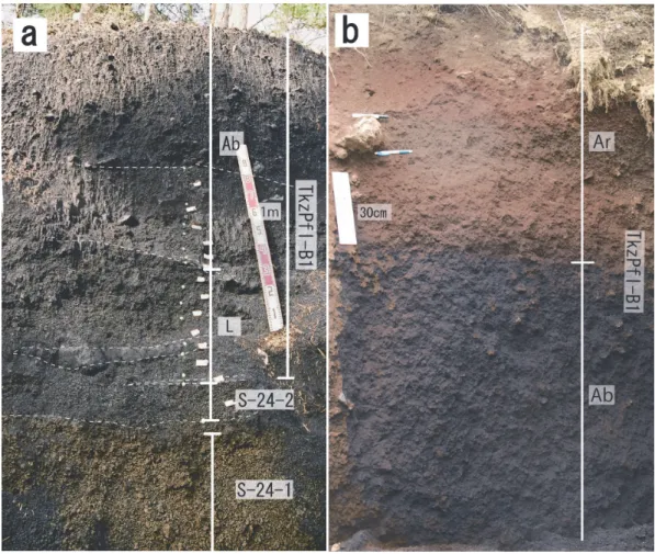 Fig. 4. Relationship between the Takizawa B1 pyroclastic flow deposit and other volcanic deposits during the same eruption stage at Loc