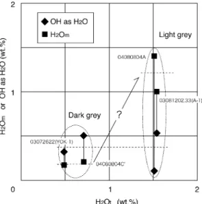 Fig. 7. Variations of molecule H 2 O (H 2 O m ) and OH group concentrations as H 2 O m vs total water (H 2 O t ).