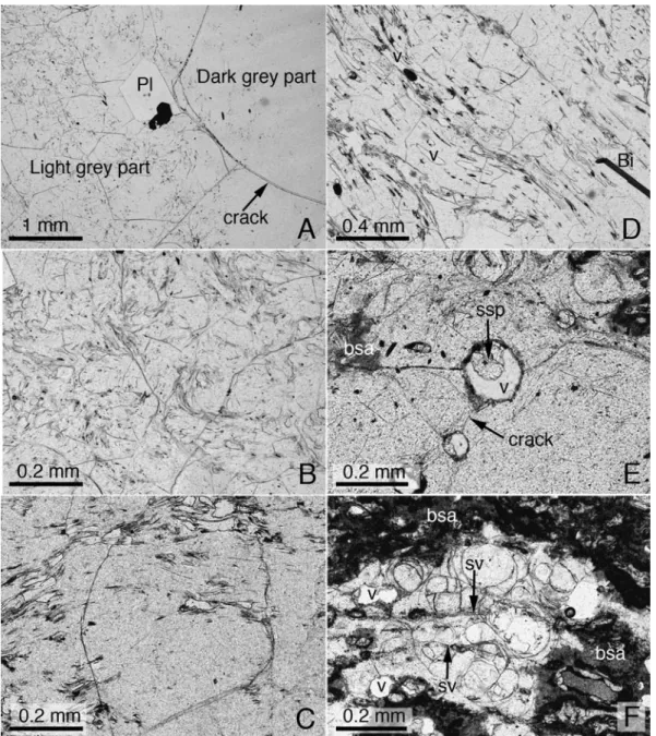 Fig. 5. Microscopic cracks and vesicles in Katsuma-Yama Lava, collected from the summit area of Mt