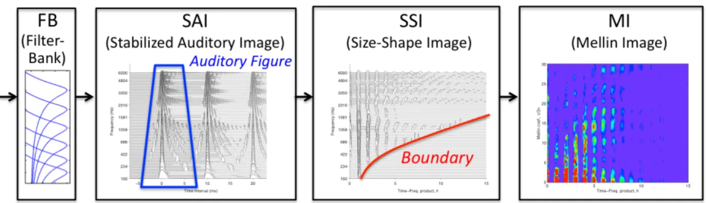Fig. 2. Computational theory of the size-shape perception: Stabilized Wavelet-Mellin Transform