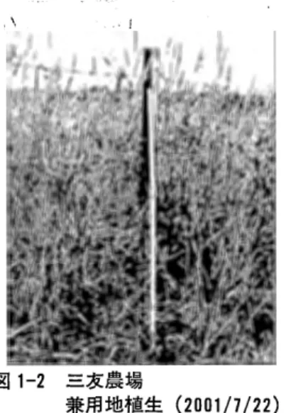 図 1 ‑ 1 三 友 農 場 放 牧 専 用 地 植 生 ( 2 0 0 1 / 7 / 8 ) 表 3 に，三友農場草地の出現草種及ぴ出現頻度(%) を示した. 放牧専用地，兼用地ともに， TY ，オーチヤードグラ ス(以下 OG) ，メドウフェスク(以下 MF) ，ケンタキー ブルーグラス(以下 KBG) ，シパムギ，セイヨウタン ポポが見られた.また，放牧専用地にはエゾキンポウ ゲが，兼用地ではオオバコが，それぞれ見られた