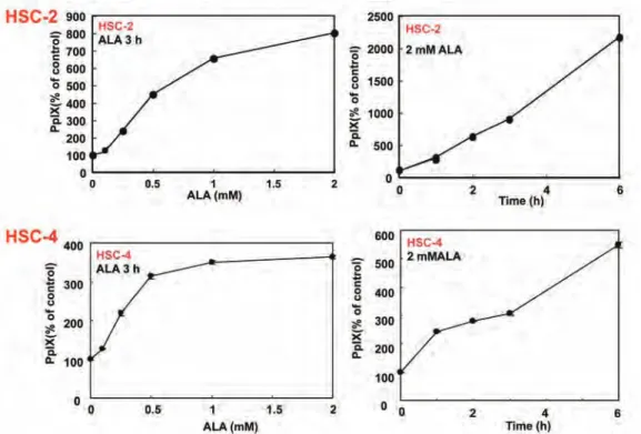 図 1　HSC-2 細胞、HSC-4 細胞における ALA 依存性 PpIX 蓄積の濃度と時間依存性