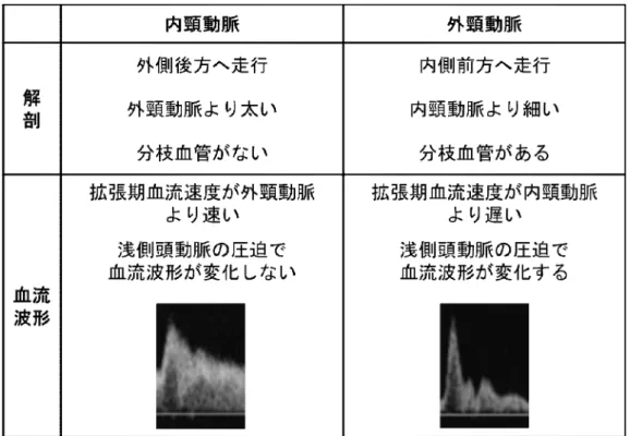 図 17：内頸動脈と外頸動脈の血流波形による同定方法   3）頸部側（後）方からの観察  ①頸部前方からの血管短軸断面で描出不良な血管側壁の観察に用いる．  ②プローブの操作は前方からのアプローチと同様であるが，前方からのアプローチに比べ，血管の描出深度が深 いため，フォーカスポイントの調整や，症例によってはプローブの周波数の切り替えが必要である．  ③アプローチの部位は，内頸静脈や甲状腺など血管周囲の構造物を指標として，前方アプローチで描出される左 右の側壁が，側（後）方アプローチで描出される近位壁と遠位