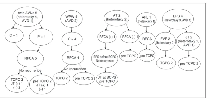 Fig. 1  Clinical course in each case.