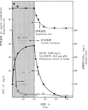 Fig. 10　Profiles of COD Cr , PO 4 -P and respiration rate (kr) in anaerobic aerobic batch experiments  