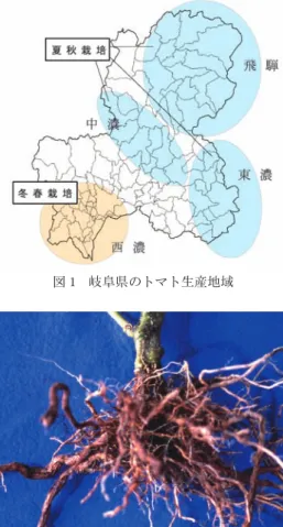 図 1　岐阜県のトマト生産地域