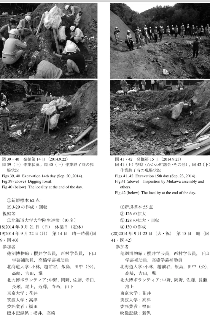 図 41・42 　発掘第 15 日（ 2014.9.23 ）
