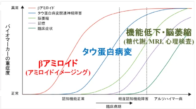 図 2.  アルツハイマー病におけるバイオマーカーの進展（文献 4 の図を一部改編） 《メタボリックシンドロームと認知症》  近年増え続ける高血圧症や糖尿病は、従来知られている身体合併症に加え、様々な認知症の危険要因であるこ とが示唆されている 6 ） -10 ） 。その認知症発症の機序としては、血管性認知症（Vascular dementia：VaD）にみられるよう な脳血管障害を介する可能性や、AD の中核病理である β アミロイドやタウ蛋白病変の蓄積を惹起・促進する可能性、 さらには循環障害や代謝異常