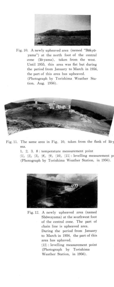Fig . 1 0 .   A  newly upheaved  a r e a   ( nemed B o k y δ ー