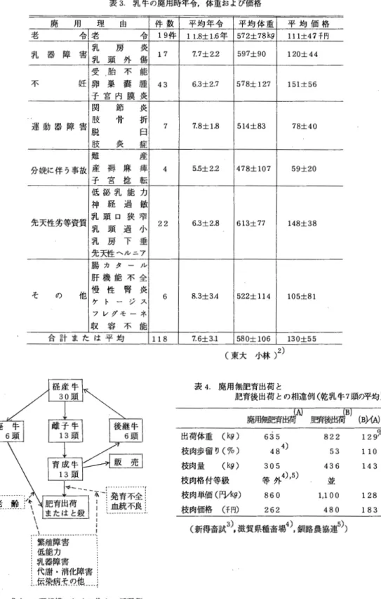 表 3 . 乳牛の廃用時年令，体重および価格 廃 用 理 由 件 数 平 均 年 令 平 均 体 重 平 均 価 格 老 メμ λ  老 令 19 件 1  1 . 8 士1